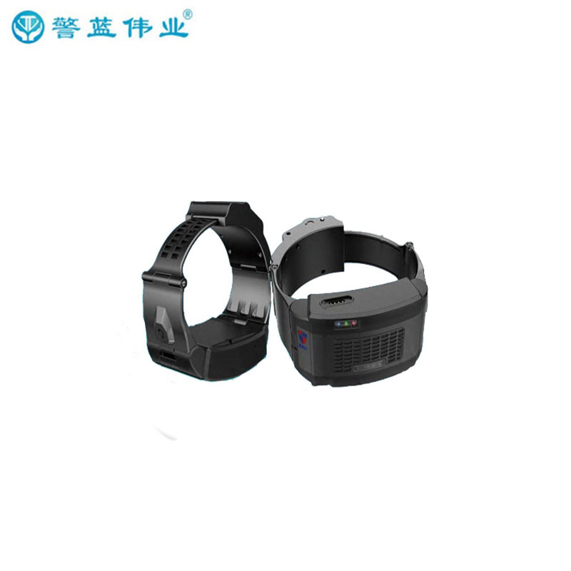 警藍(lán)偉業(yè)電子腳扣DZJK-TX-01